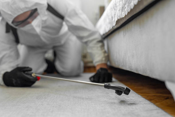 Professional Termite Control technician working in Lindsay, CA