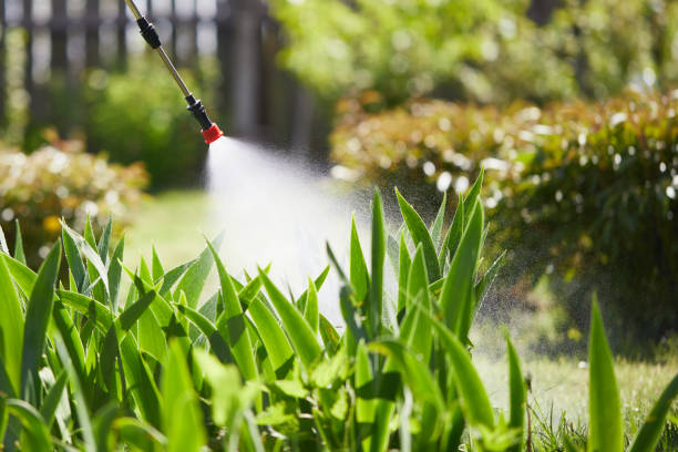 24/7 Emergency Termite Control experts in Lindsay, CA
